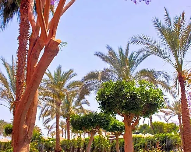 Kefi Palmera El Sokhna - Family Only 3* El-Hafayir